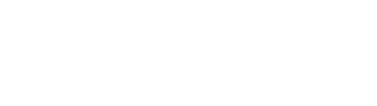 Lion-Service-1986-bianco-oriz