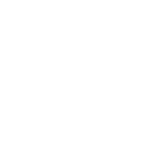 Lion-Service-1986-bianco